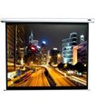 Elite Screens Frontal VMAX 3 MaxWhite Fiberglass (FG) 16:9 166 VMAX166XWH3